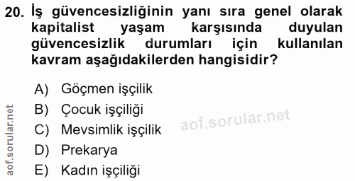 20. soru: İş güvencesizliğinin yanı sıra genel olarak kapitalist yaşam karşısında duyulan güvencesizlik durumları için kullanıl…