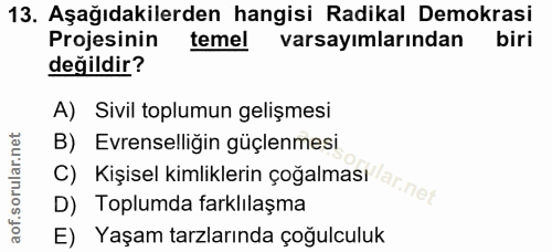 13. soru: Aşağıdakilerden hangisi Radikal Demokrasi Projesinin temel varsayımlarından biri değildir? A) Sivil toplumun gelişmes…