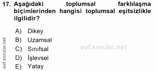 17. soru: Aşağıdaki toplumsal farklılaşma biçimlerinden hangisi toplumsal eşitsizlikle ilgilidir? A) Dikey B) Uzamsal rular.n C…