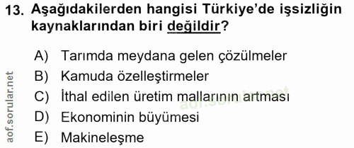 13. soru: Aşağıdakilerden hangisi Türkiye'de işsizliğin kaynaklarından biri değildir? A) Tarımda meydana gelen çözülmeler B) Ka…