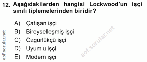 12. soru: Aşağıdakilerden hangisi Lockwood'un işçi sınıfı tiplemelerinden biridir? A) Çatışan işçi B) Bireyselleşmiş işçi c) Öz…