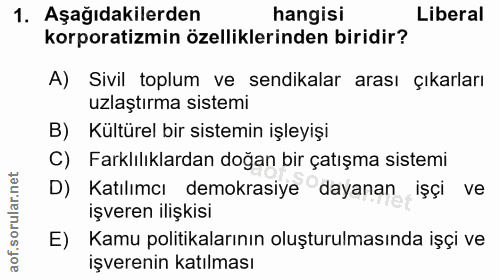 1. soru: Aşağıdakilerden hangisi Liberal korporatizmin özelliklerinden biridir? A) Sivil toplum ve sendikalar arası çıkarları…