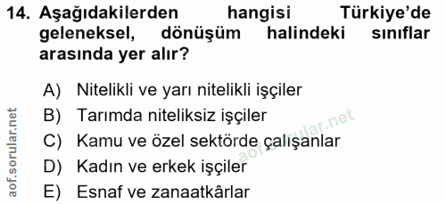 14. soru: Aşağıdakilerden hangisi Türkiye'de geleneksel, dönüşüm halindeki sınıflar arasında yer alır? A) Nitelikli ve yarı nit…