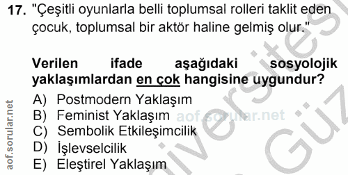17. soru: "Çeşitli oyunlarla belli toplumsal rolleri taklit eden çocuk, toplumsal bir aktör haline gelmiş olur." Verilen ifade…
