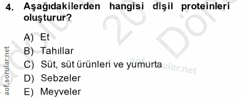 4. soru: Aşağıdakilerden hangisi dişil proteinleri oluşturur? A) Et B) Tahillar c) Süt, süt ürünleri ve yumurta lar.net D) Seb…