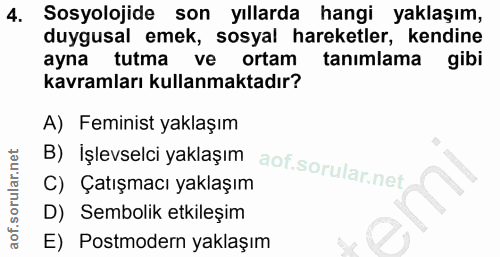 4. soru: Sosyolojide son yıllarda hangi yaklaşım, duygusal emek, sosyal hareketler, kendine ayna tutma ve ortam tanimlama gibi…