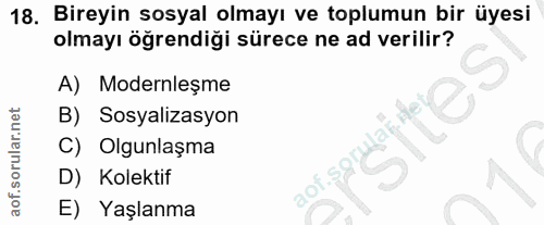 18. soru: Bireyin sosyal olmayı ve toplumun bir üyesi olmayı öğrendiği sürece ne ad verilir? A) Modernleşme B) Sosyalizasyon C)…