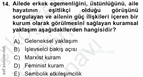 14. soru: Ailede erkek egemenliğini, üstünlüğünü, aile hayatının eşitlikçi olduğu görüşünü sorgulayan ve ailenin güç ilişkileri…