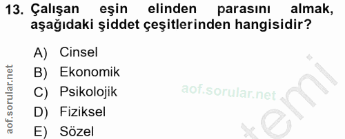 13. soru: Çalışan eşin elinden parasını almak, aşağıdaki şiddet çeşitlerinden hangisidir? A) Cinsel B) Ekonomik C) Psikolojik D…