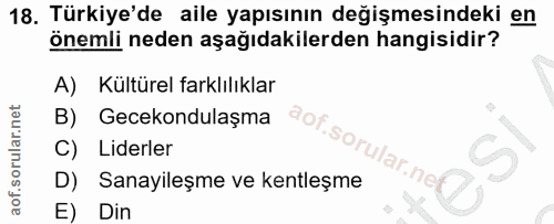 18. soru: Türkiye'de aile yapısının değişmesindeki en önemli neden aşağıdakilerden hangisidir? A) Kültürel farklılıklar B) Gece…