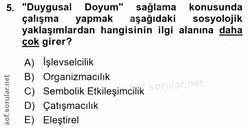 5. soru: "Duygusal Doyum" sağlama konusunda çalışma yapmak aşağıdaki sosyolojik yaklaşımlardan hangisinin ilgi alanına daha ço…