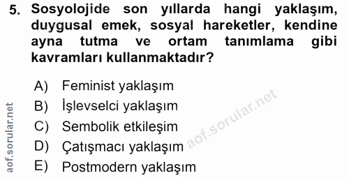 5. soru: Sosyolojide son yıllarda hangi yaklaşım, duygusal emek, sosyal hareketler, kendine ayna tutma ve ortam tanımlama gibi…