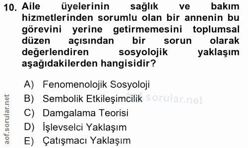 10. soru: Aile üyelerinin sağlık ve bakım hizmetlerinden sorumlu olan bir annenin bu görevini yerine getirmemesini toplumsal dü…