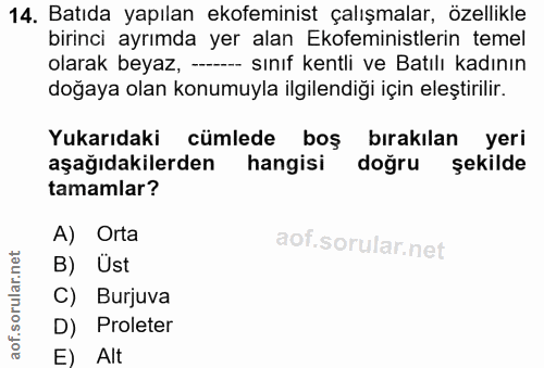 14. soru: Batıda yapılan ekofeminist çalışmalar, özellikle birinci ayrımda yer alan Ekofeministlerin temel olarak beyaz, - sını…