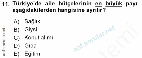 11. soru: Türkiye'de aile bütçelerinin en büyük payı aşağıdakilerden hangisine ayrılır? A) Sağlık B) Giysi C) Konut alımı D) Gı…