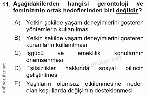 11. soru: Aşağıdakilerden hangisi gerontoloji ve feminizmin ortak hedeflerinden biri değildir? A) Yetkin şekilde yaşam deneyiml…