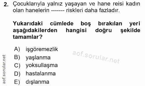 2. soru: Çocuklarıyla yalnız yaşayan ve hane reisi kadın olan hanelerin ------ riskleri daha fazladır. Yukarıdaki cümlede boş…