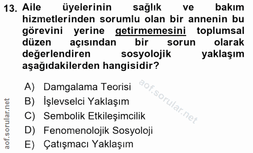 13. soru: Aile üyelerinin sağlık ve bakım hizmetlerinden sorumlu olan bir annenin bu görevini yerine getirmemesini toplumsal dü…