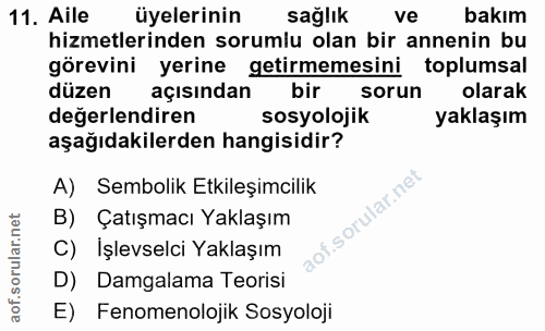 11. soru: Aile üyelerinin sağlık ve bakım hizmetlerinden sorumlu olan bir annenin bu görevini yerine getirmemesini toplumsal dü…