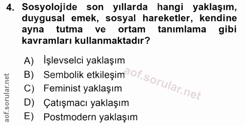 4. soru: Sosyolojide son yıllarda hangi yaklaşım, duygusal emek, sosyal hareketler, kendine ayna tutma ve ortam tanımlama gibi…