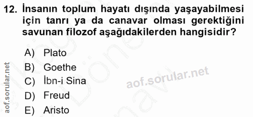 12. soru: İnsanın toplum hayatı dışında yaşayabilmesi için tanrı ya da canavar olması gerektiğini savunan filozof aşağıdakilerd…