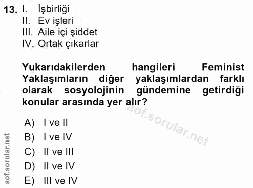 13. soru: I. İşbirliği II. Ev işleri III. Aile içi şiddet IV. Ortak çıkarlar Yukarıdakilerden hangileri Feminist Yaklaşımların…