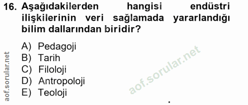 16. soru: Aşağıdakilerden hangisi endüstri ilişkilerinin veri sağlamada yararlandığı bilim dallarından biridir? A) Pedagoji B)…