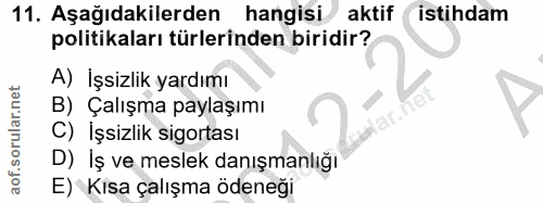 11. soru: Aşağıdakilerden hangisi aktif istihdam politikaları türlerinden biridir? A) İşsizlik yardımı B) Çalışma paylaşımı C)…