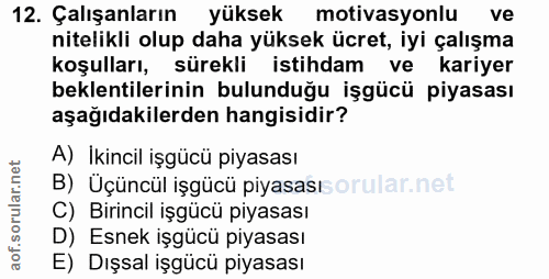 12. soru: Çalışanların yüksek motivasyonlu ve nitelikli olup daha yüksek ücret, iyi çalışma koşulları, sürekli istihdam ve kari…