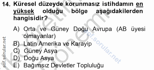 14. soru: Küresel düzeyde korunmasız istihdamın en yüksek olduğu bölge aşağıdakilerden hangisidir? A) Orta ve Güney Doğu Avrupa…