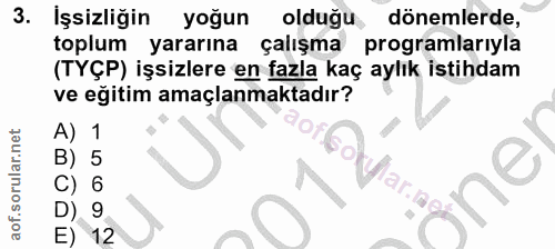 3. soru: İşsizliğin yogun oldugu dönemlerde, toplum yararına çalışma programlarıyla (TYÇP) işsizlere en fazla kaç aylık istihd…
