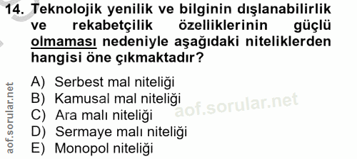 14. soru: Teknolojik yenilik ve bilginin dışlanabilirlik ve rekabetçilik özelliklerinin güçlü olmaması nedeniyle aşağıdaki nite…