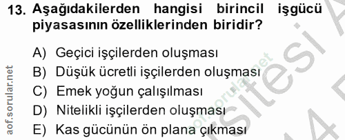 13. soru: Aşağıdakilerden hangisi birincil işgücü piyasasının özelliklerinden biridir? A) Geçici işçilerden oluşması B) Düşük ü…