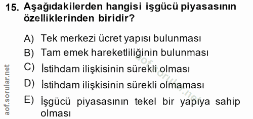15. soru: Aşağıdakilerden hangisi işgücü piyasasının özelliklerinden biridir? A) Tek merkezi ücret yapısı bulunması B) Tam emek…