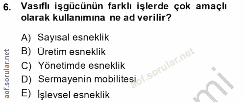 6. soru: Vasıflı işgücünün farklı işlerde çok amaçlı olarak kullanımına ne ad verilir? A) Sayısal esneklik B) Üretim esneklik…