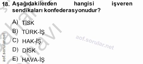 18. soru: Aşağıdakilerden hangisi işveren sendikaları konfederasyonudur? A) TiSK B) TÜRK-İŞ C) HAK-İŞ D) DİSK E) HAVA-İŞ