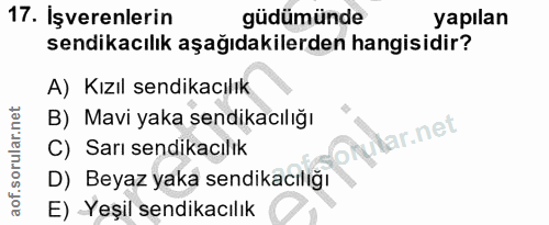 17. soru: İşverenlerin güdümünde yapılan sendikacılık aşağıdakilerden hangisidir? A) Kızıl sendikacılık B) Mavi yaka sendikacıl…