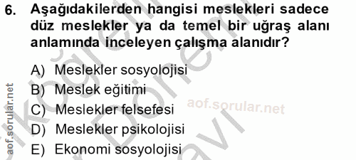 6. soru: Aşağıdakilerden hangisi meslekleri sadece düz meslekler ya da temel bir uğraş alanı anlamında inceleyen çalışma alanı…