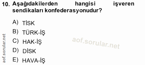 10. soru: Aşağıdakilerden hangisi işveren sendikaları konfederasyonudur? A) TİSK B) TÜRK-İŞ C) HAK-İŞ D) DiSK E) HAVA-İȘ