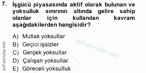 7. soru: İşgücü piyasasında aktif olarak bulunan ve yoksulluk sınırının altında gelire sahip olanlar için kullanılan kavram aş…