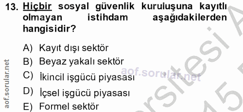 13. soru: Hiçbir sosyal güvenlik kuruluşuna kayıtlı olmayan istihdam aşağıdakilerden hangisidir? A) Kayıt dışı sektör B) Beyaz…