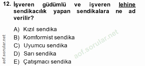 12. soru: İşveren güdümlü ve işveren lehine sendikacılık yapan sendikalara ne ad verilir? A) Kızıl sendika B) Komformist sendik…