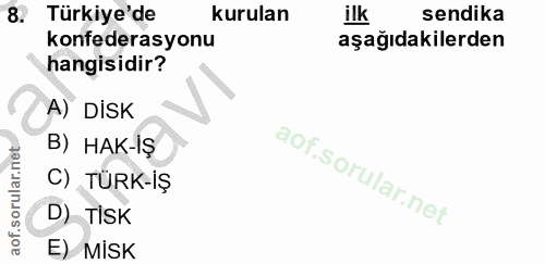 8. soru: Türkiye'de kurulan ilk sendika konfederasyonu aşağıdakilerden hangisidir? A) DİSK B) HAK-IŞ C) TÜRK-İŞ D) TİSK E) MİSK