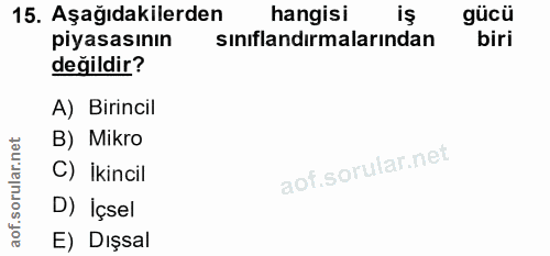 15. soru: Aşağıdakilerden hangisi iş piyasasının sınıflandırmalarından biri değildir? A) Birincil B) Mikro C) İkincil D) İçsel…