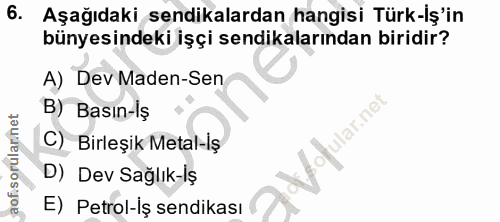 6. soru: Aşağıdaki sendikalardan hangisi Türk-Iş'in bünyesindeki işçi sendikalarından biridir? A) Dev Maden-Sen B) Basın-iş ao…