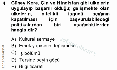 4. soru: Güney Kore, Çin ve Hindistan gibi ülkelerin uygulayıp başarılı olduğu; gelişmekte olan ülkelerin, nitelikli işgücü aç…