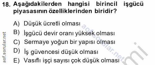 18. soru: Aşağıdakilerden hangisi birincil işgücü piyasasının özelliklerinden biridir? A) Düşük ücretli olması B) İşgücü devir…