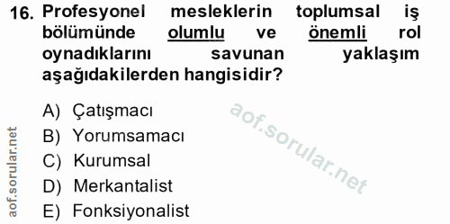 16. soru: Profesyonel mesleklerin toplumsal iş bölümünde olumlu ve önemli rol oynadıklarını savunan yaklaşım aşağıdakilerden ha…