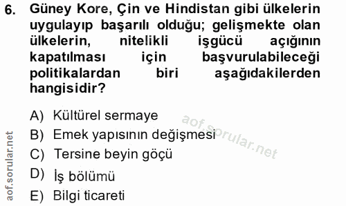 6. soru: Güney Kore, Çin ve Hindistan gibi ülkelerin uygulayıp başarılı olduğu; gelişmekte olan ulkelerin, nitelikli işgücü aç…