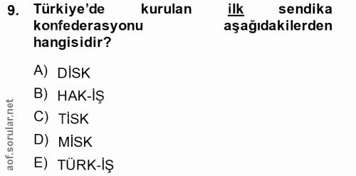 9. soru: Türkiye'de kurulan ilk sendika konfederasyonu aşağıdakilerden hangisidir? A) DISK B) HAK-iŞ rular.net C) TİSK D) MISK…